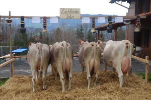 4ZF Jola A75 von Rotz Glais  Pia Unterbchen Kerns